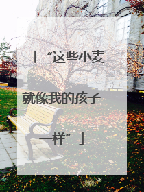 “这些小麦就像我的孩子一样”