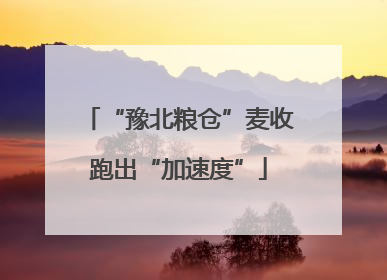 “豫北粮仓”麦收跑出“加速度”
