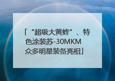 “超级大黄蜂”、特色涂装苏-30MKM 众多明星装备亮相