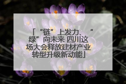 “链”上发力、“绿”向未来 四川这场大会释放建材产业转型升级新动能
