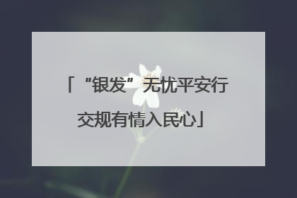 “银发”无忧平安行 交规有情入民心