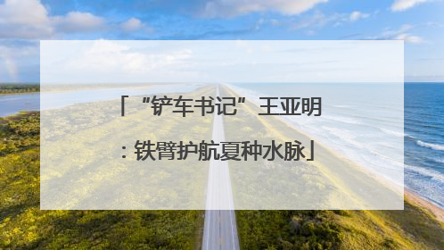 “铲车书记”王亚明：铁臂护航夏种水脉