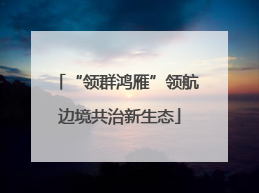 “领群鸿雁”领航边境共治新生态