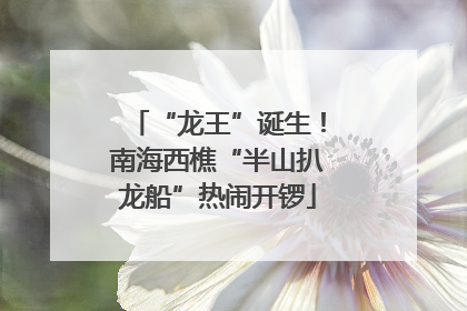 “龙王”诞生！南海西樵“半山扒龙船”热闹开锣