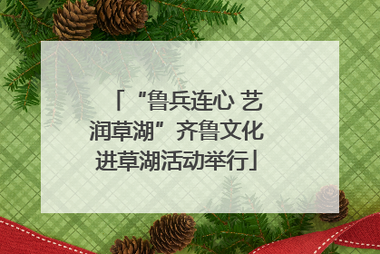 “鲁兵连心 艺润草湖”齐鲁文化进草湖活动举行