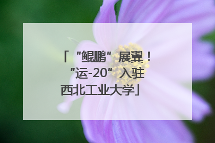 “鲲鹏”展翼！“运-20”入驻西北工业大学