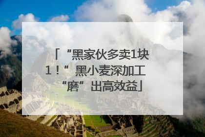 “黑家伙多卖1块1！”黑小麦深加工“磨”出高效益