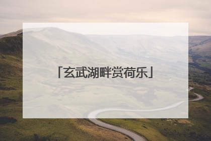 玄武湖畔赏荷乐