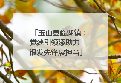 玉山县临湖镇：党建引领添助力 银发先锋展担当