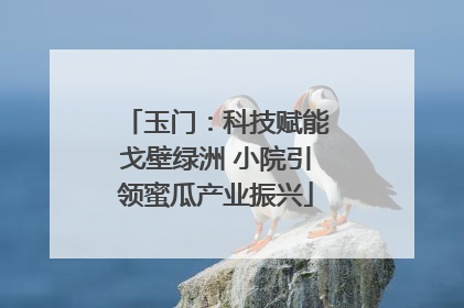 玉门：科技赋能戈壁绿洲 小院引领蜜瓜产业振兴