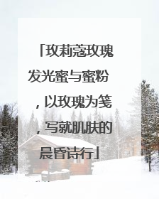 玫莉蔻玫瑰发光蜜与蜜粉，以玫瑰为笺，写就肌肤的晨昏诗行