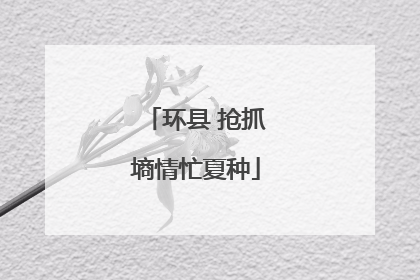 环县 抢抓墒情忙夏种