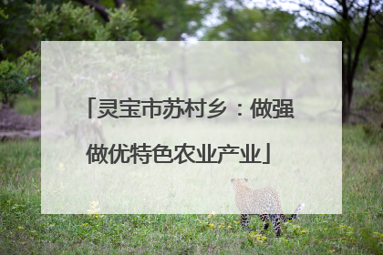 灵宝市苏村乡：做强做优特色农业产业