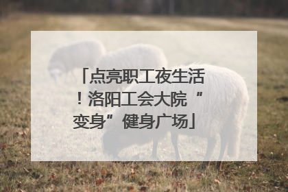点亮职工夜生活！洛阳工会大院“变身”健身广场