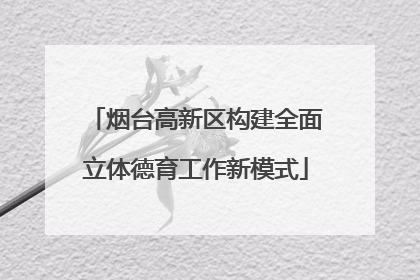 烟台高新区构建全面立体德育工作新模式