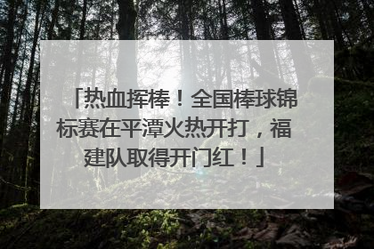 热血挥棒！全国棒球锦标赛在平潭火热开打，福建队取得开门红！