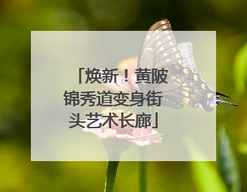 焕新！黄陂锦秀道变身街头艺术长廊