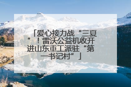 爱心接力战“三夏”！雷沃公益机收开进山东重工派驻“第一书记村”
