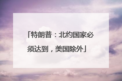 特朗普：北约国家必须达到，美国除外