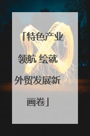 特色产业领航 绘就外贸发展新画卷