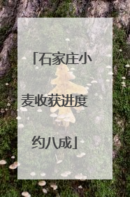 石家庄小麦收获进度约八成