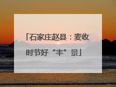 石家庄赵县：麦收时节好“丰”景