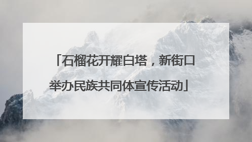 石榴花开耀白塔，新街口举办民族共同体宣传活动