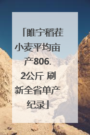 睢宁稻茬小麦平均亩产806.2公斤 刷新全省单产纪录