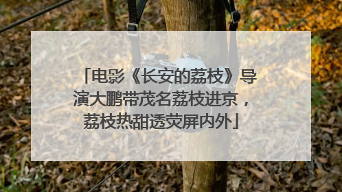 电影《长安的荔枝》导演大鹏带茂名荔枝进京，荔枝热甜透荧屏内外