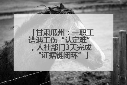 甘肃瓜州：一职工遭遇工伤“认定难”，人社部门3天完成“证据链闭环”
