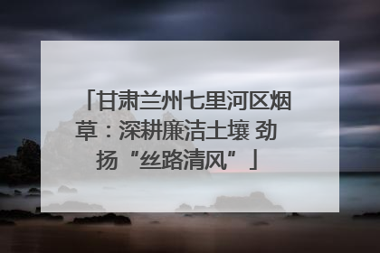 甘肃兰州七里河区烟草：深耕廉洁土壤 劲扬“丝路清风”