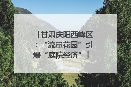 甘肃庆阳西峰区：“流量花园”引爆“庭院经济”