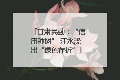 甘肃民勤：“信用种树” 汗水浇出“绿色存折”