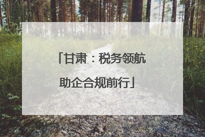 甘肃：税务领航 助企合规前行