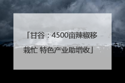 甘谷：4500亩辣椒移栽忙 特色产业助增收