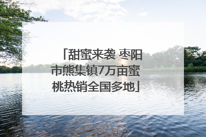 甜蜜来袭 枣阳市熊集镇7万亩蜜桃热销全国多地