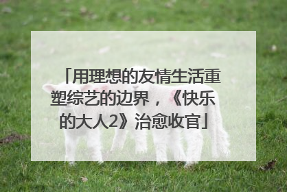 用理想的友情生活重塑综艺的边界，《快乐的大人2》治愈收官
