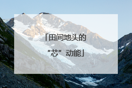 田间地头的“芯”动能