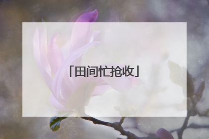 田间忙抢收