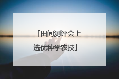 田间测评会上选优种学农技