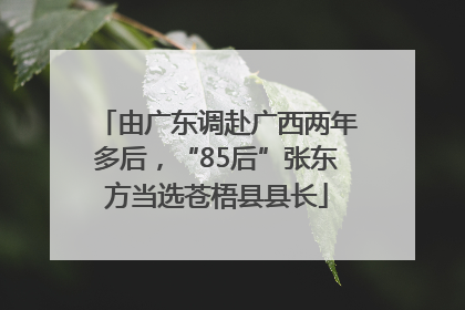 由广东调赴广西两年多后，“85后”张东方当选苍梧县县长