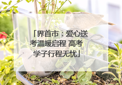 界首市：爱心送考温暖启程 高考学子行程无忧