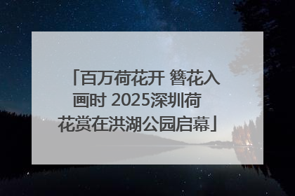 百万荷花开 簪花入画时 2025深圳荷花赏在洪湖公园启幕