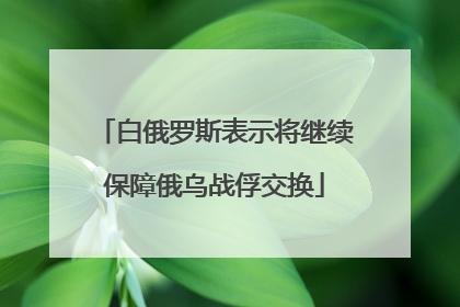 白俄罗斯表示将继续保障俄乌战俘交换