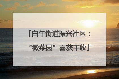 白午街道振兴社区：“微菜园”喜获丰收