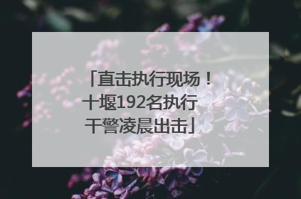 直击执行现场！十堰192名执行干警凌晨出击