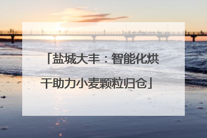 盐城大丰：智能化烘干助力小麦颗粒归仓