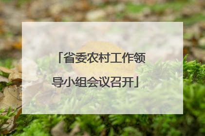 省委农村工作领导小组会议召开