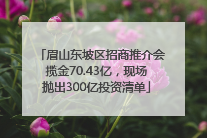 眉山东坡区招商推介会揽金70.43亿，现场抛出300亿投资清单