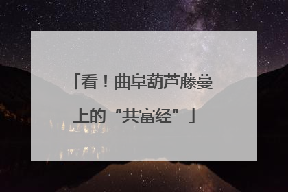 看！曲阜葫芦藤蔓上的“共富经”